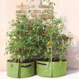 Nádoba na pestovanie paradajok